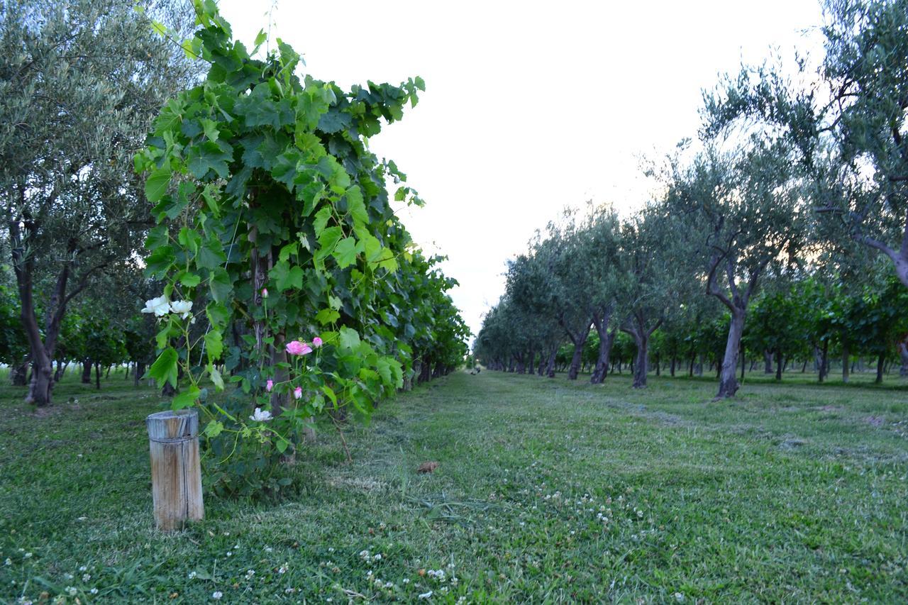 Maipú Finca Fisterra מראה חיצוני תמונה