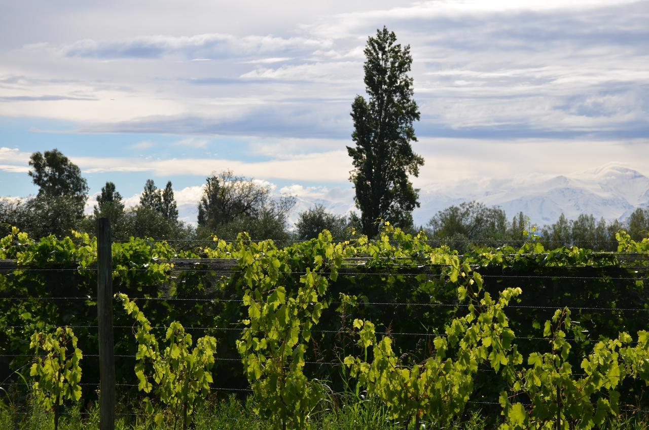 Maipú Finca Fisterra מראה חיצוני תמונה