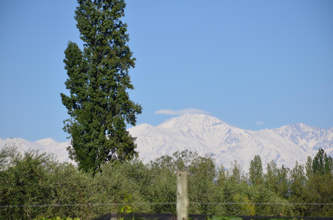 Maipú Finca Fisterra מראה חיצוני תמונה