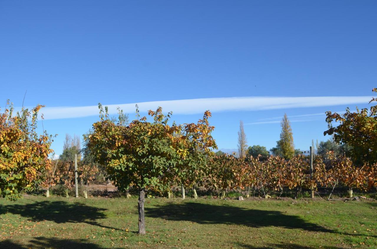 Maipú Finca Fisterra מראה חיצוני תמונה