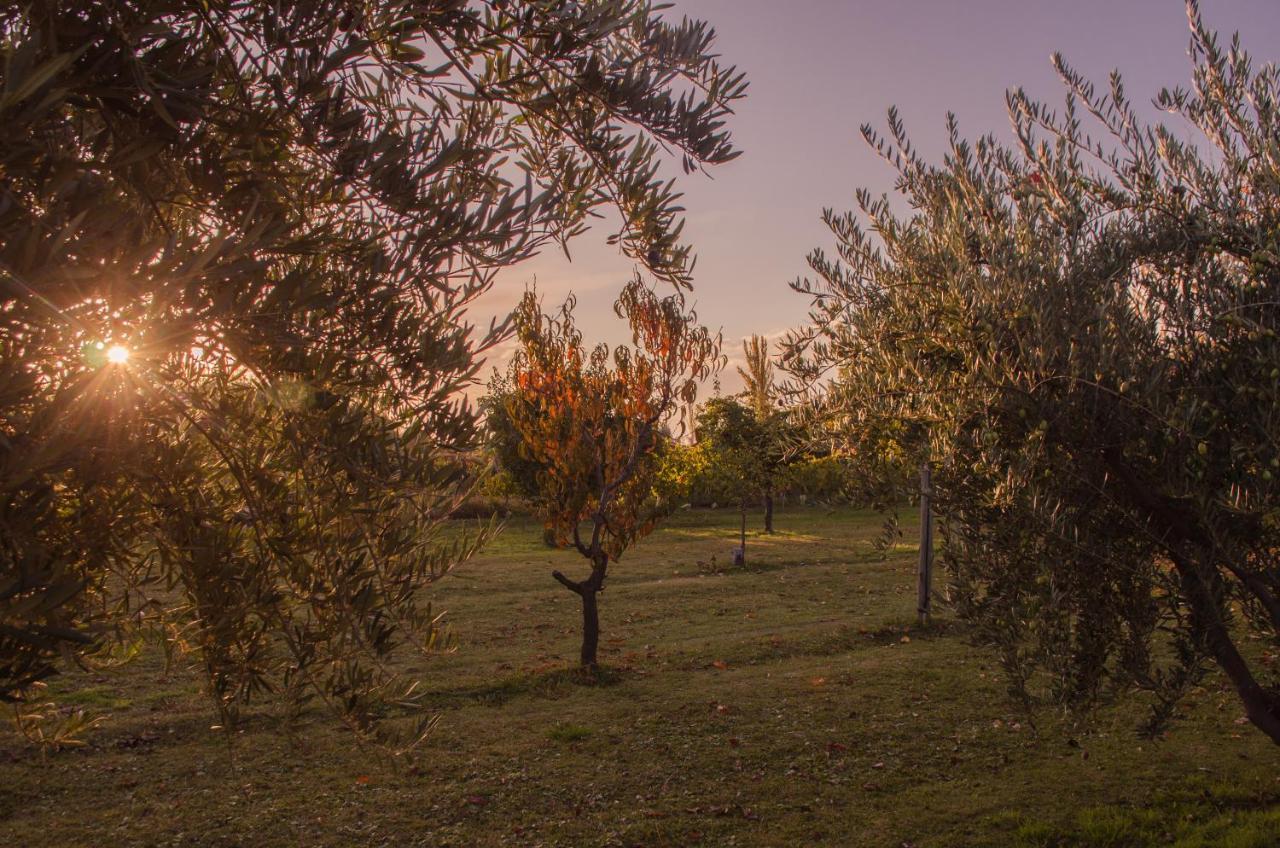Maipú Finca Fisterra מראה חיצוני תמונה
